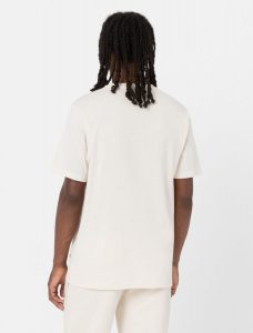 DICKIES – T-Shirt Mapleton a Maniche Corte Grigio Spuma