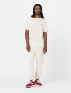 DICKIES – T-Shirt Mapleton a Maniche Corte Grigio Spuma