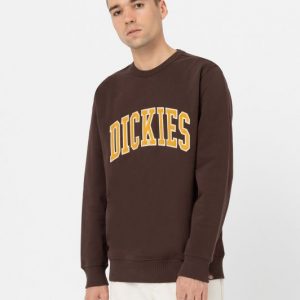 DICKIES – Felpa Uomo Aitkin Caffè