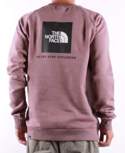 THE NORTH FACE – Felpa da Uomo Raglan Red Box Crew Glicine