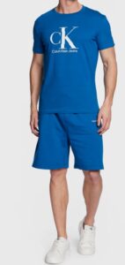 CALVIN KLEIN -T-Shirt Uomo con Monogramma Regular Tarps Blu
